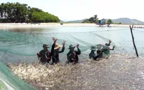 Tăng cường sử dụng năng lượng tái tạo để nuôi trồng thủy sản