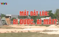 San lấp đất lúa: Ai được - Ai mất?