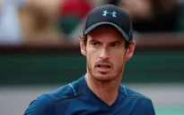 Andy Murray sẽ vắng mặt tại Pháp mở rộng 2018