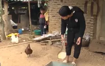 Tuổi thơ nhọc nhằn của hai chị em mồ côi