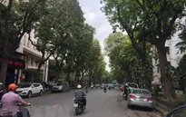 Hà Nội: Di chuyển cây xanh để thi công nhà ga S10 và S12