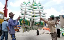 Việt Nam trúng thầu cung cấp 130.000 tấn gạo cho Philippines