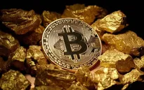 Xem xét tạm ngừng nhập khẩu máy đào tiền ảo
