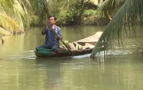Làm giàu nhờ nuôi tôm trong vườn dừa