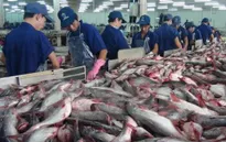 Cấp bách xây dựng thương hiệu tôm và cá tra