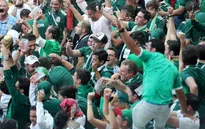 CĐV Mexico gây... động đất khi ăn mừng chiến thắng đội tuyển Đức
