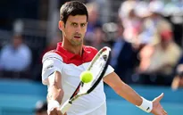 Djokovic cán mốc 800 trận thắng trong sự nghiệp