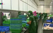 Việt Nam ứng phó như thế nào với sức nóng từ cuộc chiến thương mại Mỹ - Trung?