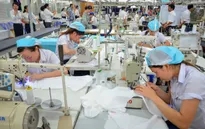 Hiệp định EVFTA: Cơ hội xuất khẩu hàng hóa cho các doanh nghiệp Việt