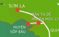 Mộc Châu (Sơn La) là địa bàn phức tạp về tội phạm ma túy