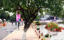 Việt Nam sẽ mở tuyến du lịch mới