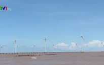 Việt Nam có đủ điều kiện để phát triển mạnh năng lượng tái tạo