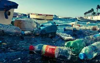 WWF cảnh báo tình trạng ô nhiễm rác thải nhựa tại Địa Trung Hải