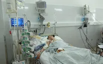 Sự sống mong manh của goá phụ một mình nuôi hai con thơ dại