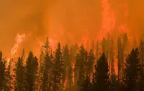 Cháy rừng lan rộng tại bang California, Mỹ