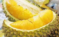 Lạ kỳ hạt sầu riêng giá cao hơn sầu riêng hạng nhất