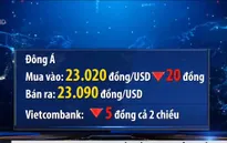 Tỷ giá trung tâm giảm mạnh