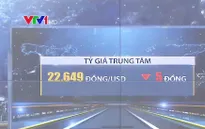 Tỷ giá trung tâm được Ngân hàng Nhà nước điều chỉnh giảm thêm 5 đồng