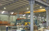 Doanh nghiệp nhập khẩu ứng phó với biến động tỷ giá
