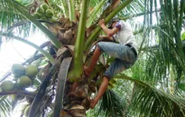Mẹ bỏ đi từ nhỏ, cha bị xơ gan, cậu bé lớp 7 sống trong khốn khó