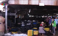 Nỗ lực khắc phục khuyến nghị của EC về thẻ vàng thủy sản
