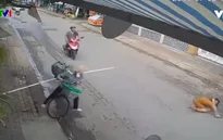 Nguy hiểm xe thô sơ chở hàng cồng kềnh