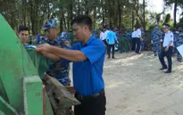 Chung tay làm sạch môi trường biển bảo vệ màu xanh đảo ngọc Cô Tô