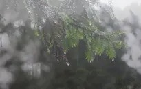 Những lưu ý khi du lịch Đà Lạt mùa mưa