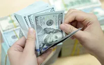 Đầu tuần, tỷ giá USD đứng yên