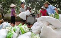 Hỗ trợ người dân tỉnh Lai Châu gặp thiên tai 620 tấn gạo