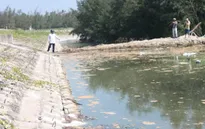Hà Tĩnh: Phạt 435 triệu đồng doanh nghiệp nuôi tôm xả thải ra môi trường