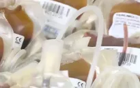 Thiếu trầm trọng nhóm máu O cho điều trị