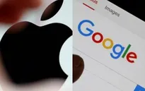 Không cần có bằng đại học khi xin việc tại Google và Apple