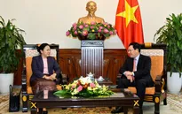 Phó Thủ tướng Phạm Bình Minh tiếp Thứ trưởng Bộ Ngoại giao Lào