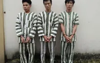 Đồng Nai: Dùng súng bắn bi và mã tấu táo tợn cướp ô tô
