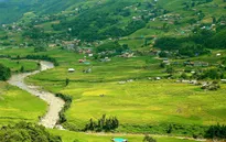 Xách ba lô lên và săn mùa vàng tháng 9 ở Sa Pa