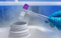 Chuyển phôi đông lạnh - những ưu điểm nổi bật trong điều trị vô sinh, hiếm muộn