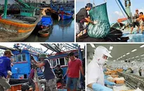 Nỗ lực tháo gỡ “thẻ vàng” của EC cho thủy sản Việt Nam: Cần cấp bách, quyết liệt và đồng bộ
