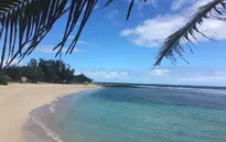 Khám phá Vanuatu - nơi có hàng nghìn người Việt xa xứ sinh sống