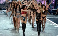 Victoria’s Secret Fashion Show 2018 sẽ quay trở lại New York (Mỹ)