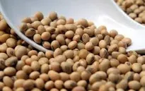 Mỹ xuất khẩu đậu tương sang EU