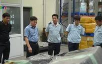 Hải quan bắt giữ gần 1 tấn ngà voi và vảy tê tê