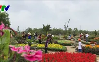 Độc đáo Khu du lịch sinh thái Đồng Nôi