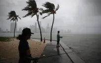 Bão nhiệt đới Gordon đổ bộ vào Florida, Mỹ