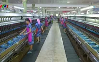 Ghé thăm nhà máy dệt lụa lớn nhất Triều Tiên