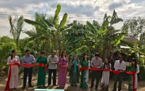 Trao tặng 3 cây cầu giao thông nông thôn tại Cà Mau