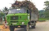 Khó khăn xử lý xe ô tô hết niên hạn sử dụng