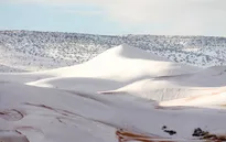 Tuyết rơi dày bao phủ sa mạc Sahara