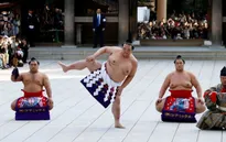Nghi thức đầu năm của các võ sĩ Sumo