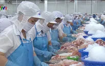 Hơn 8,3 tỷ USD thu về từ xuất khẩu thủy sản